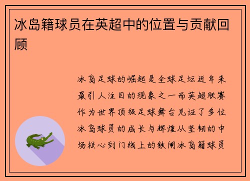 冰岛籍球员在英超中的位置与贡献回顾