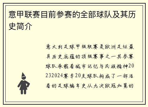 意甲联赛目前参赛的全部球队及其历史简介